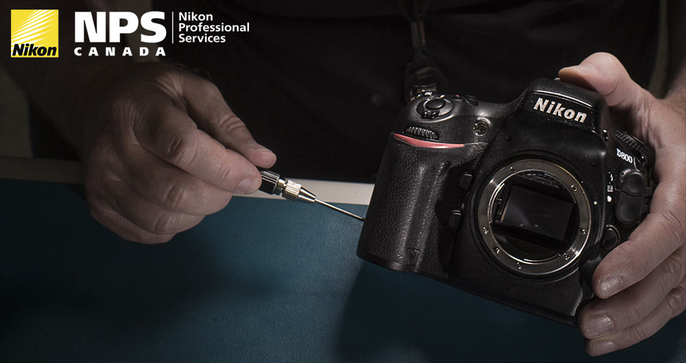 Reflex Nikon D6  Appareil photo phare professionnel