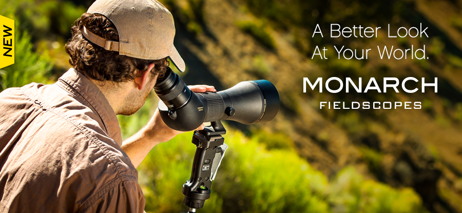 Nikon Monarch Fieldscope 82ED-A Review Rokslide, 40% OFF