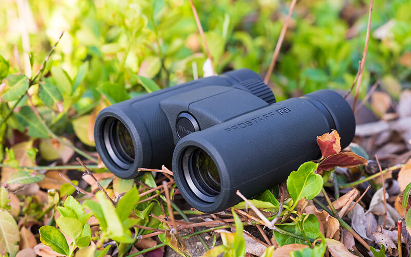 PROSTAFF P3 10X30 binoculars on foliage on the ground