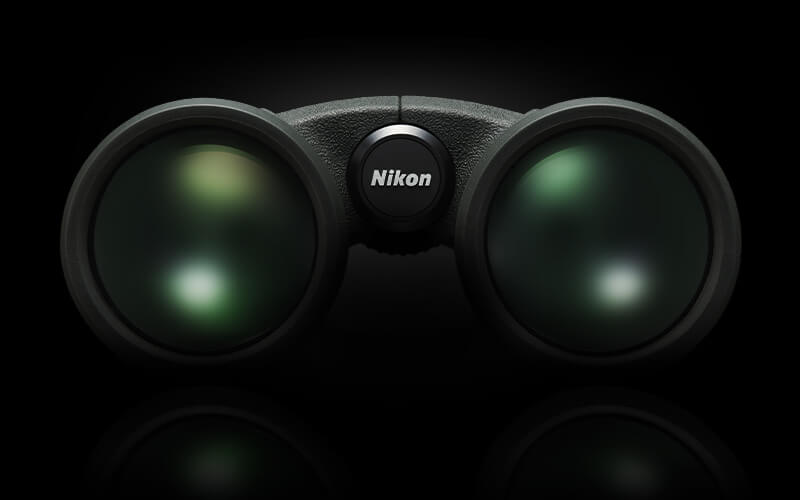 view of the objective lenses of PROSTAFF P7 10x42 binoculars