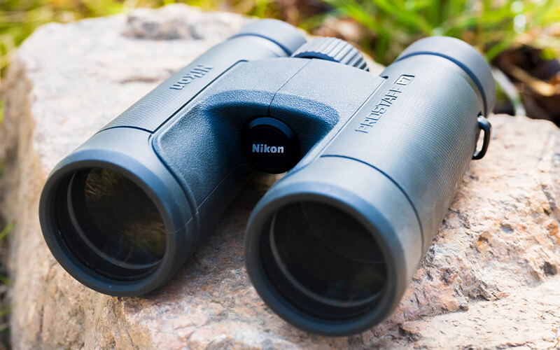 photo of PROSTAFF P7 10x42 binoculars on a rock