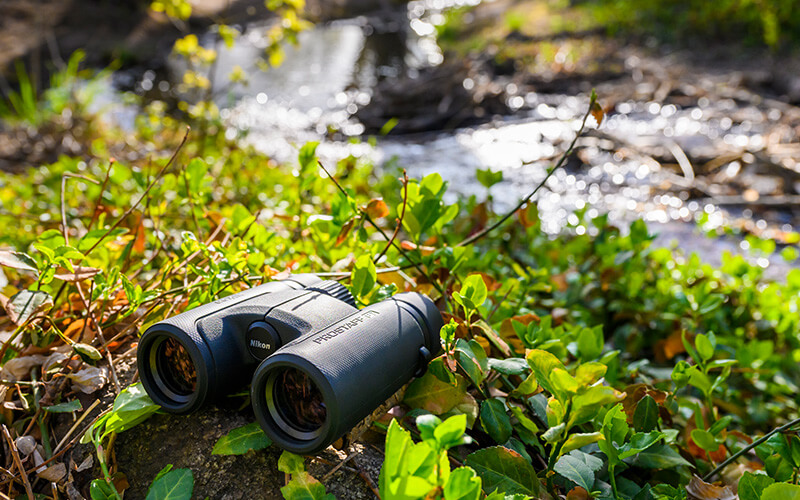 photo of PROSTAFF P7 10X30 binoculars on foliage near a stream
