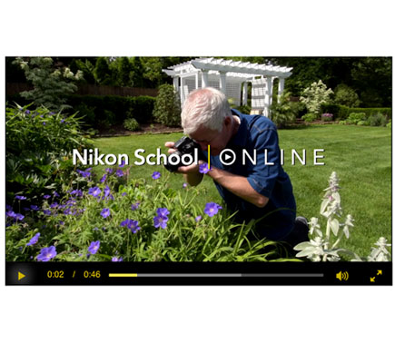 Nikon Macro Landscape Two Lens Kit, Nikon Landscape And Macro Two Lens Kit Review