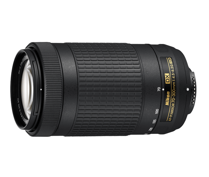 美品 Nikon AF-P 70-300mm ☆静かなAF☆レンズフード付き-