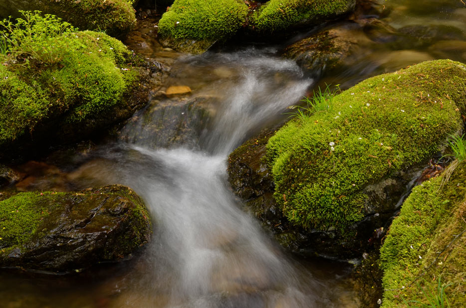 Photo of water running over moss covered rocks, shot with the AF-S DX Micro NIKKOR 40mm f/2.8G