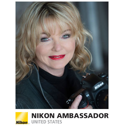 カメラ レンズ(ズーム) AF-S NIKKOR 70-200mm f/2.8G ED VR II | Nikon