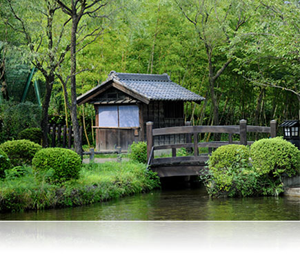 Photo of a Japanese garden shot with the AF Zoom-NIKKOR 70-300mm f/4-5.6G lens