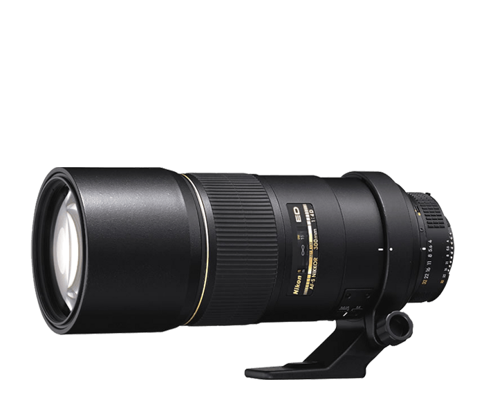  AF-S Nikkor 300mm f/4D IF-ED