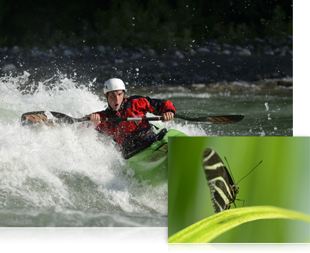 Photo of a kayaker with the inset close up photo of a butterfly
