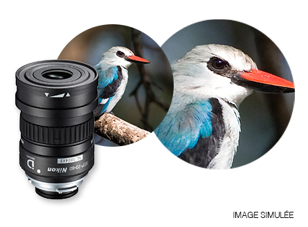 Oculaire Nikon SEP 20-60 Pour Longue Vue PROSTAFF 5