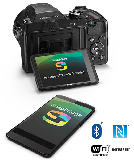Carte mémoire Professionnelle V30 pour Appareil Photo numérique Nikon Coolpix B500 128 Go 